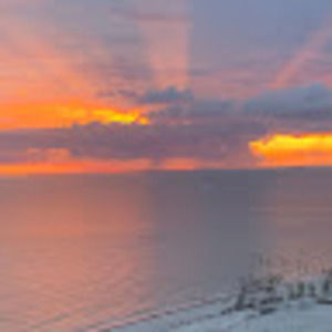 Meet your Posher, Camille